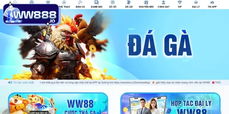 chuyen-muc-da-ga-ww88