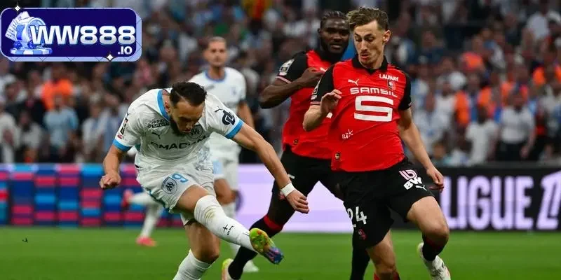 meo-soi-keo-ty-so-tu-cao-thu